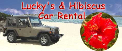 Lucky's and Hibiscus Car Rental Logo